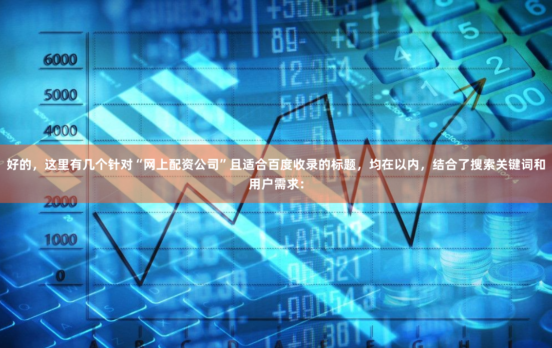好的，这里有几个针对“网上配资公司”且适合百度收录的标题，均在以内，结合了搜索关键词和用户需求：