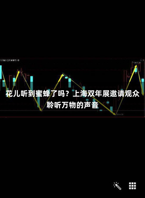 花儿听到蜜蜂了吗？上海双年展邀请观众聆听万物的声音